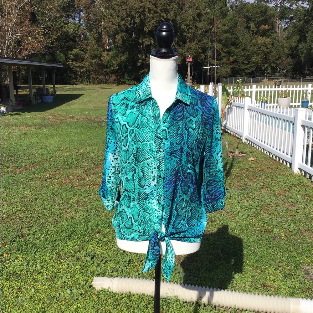 Nue Options Blouse